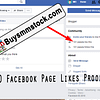 100 Facebook Page likes proof