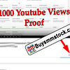 1000 Youtube Views Proof
