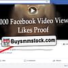 10000 Facebook Video Views Proof
