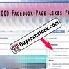 100000 Facebook Page likes proof