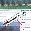 1200 Facebook Page likes proof