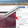 1,700,123 Facebook Page likes proof
