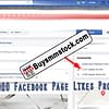 2000 Facebook Page likes proof