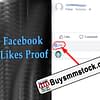 250 Facebook Post Likes Proof