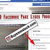 400 Facebook Page likes proof