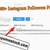 85,000+ Instagram Followers Proof