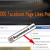 95,000 Facebook Page likes proof
