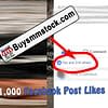Real 21000 Facebook Post Likes