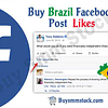 Buy Brazil Facebook post Likes