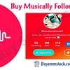 Buy Musically Followers