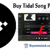 Buy tidal Song Play
