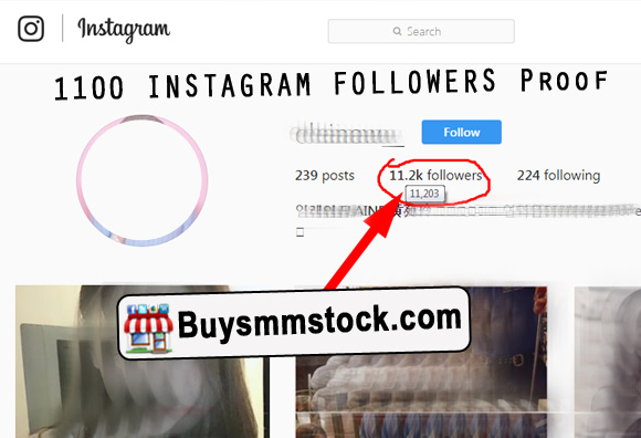 1000 Instagram Followers Proof