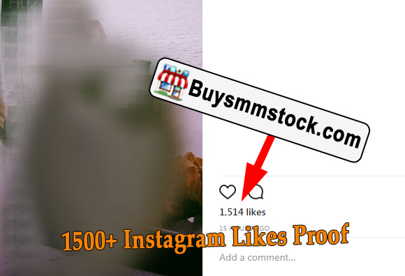 1500 Instagram Likes Proof