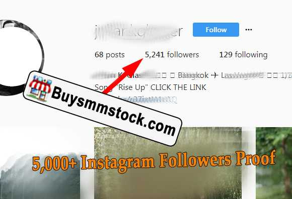 5,000+ Instagram Followers Proof