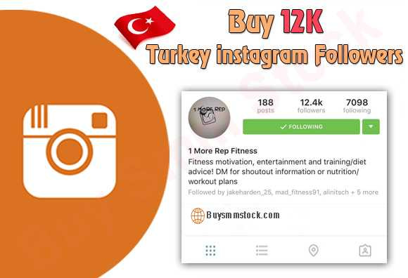 Buy turkey instagram followers