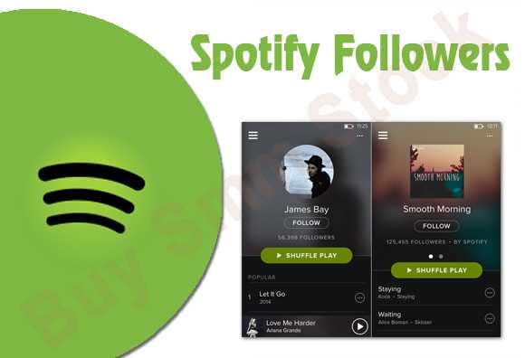 Buy Spotify Followers