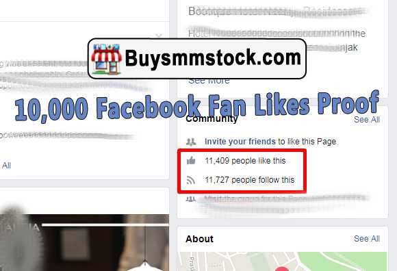 Real 10000 Facebook Fan Likes Proof