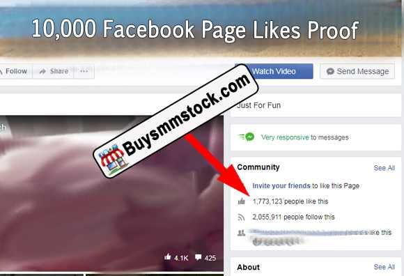 10000 Facebook Page likes proof