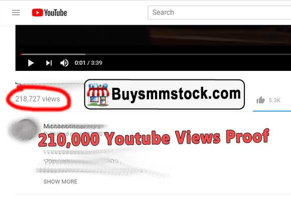 Real 210000 Youtube Views Proof