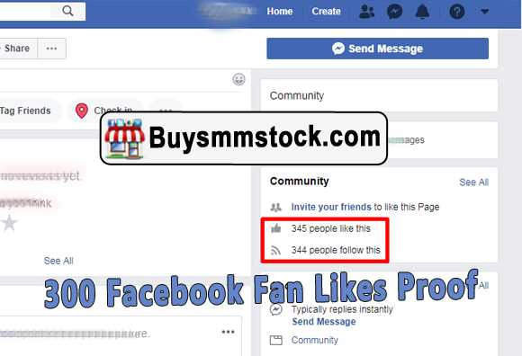 Real 300 Facebook Page likes proof