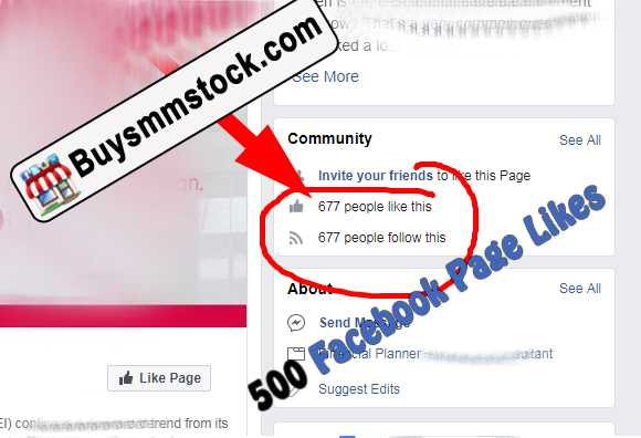 real 500 Facebook Page likes