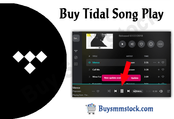 Buy tidal Song Play