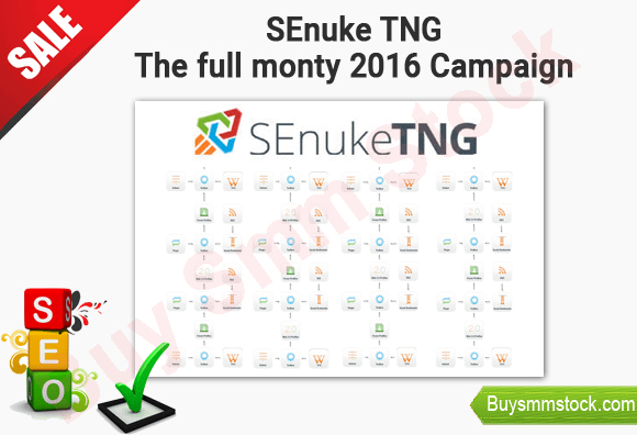 SEnuke TNG – The full monty 2016 Campaign