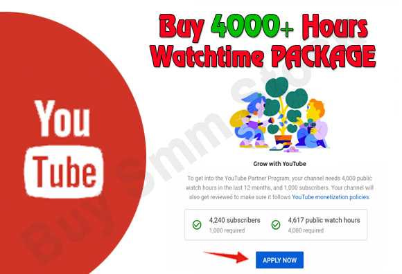 Buy Youtube Watchtime 4000H PACKAGE