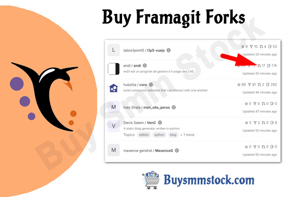 Buy Framagit Forks