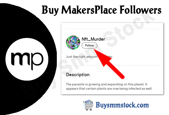 Buy MakersPlace Followers
