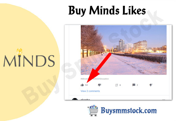 Buy Minds Likes