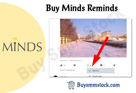 Buy Minds Reminds
