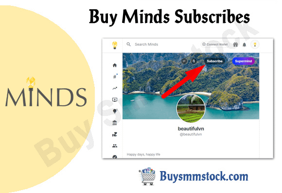 Buy Minds Subscribes