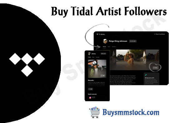Buy Tidal Artist Followers