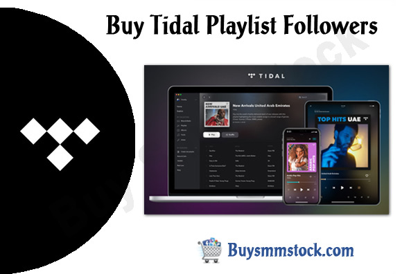 Buy Tidal Playlist Followers