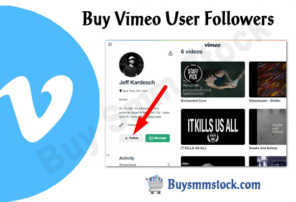 Buy Vimeo User Followers
