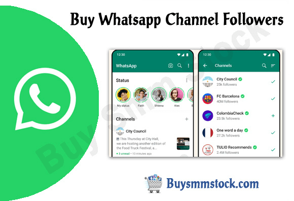 Buy Whatsapp Channel Followers