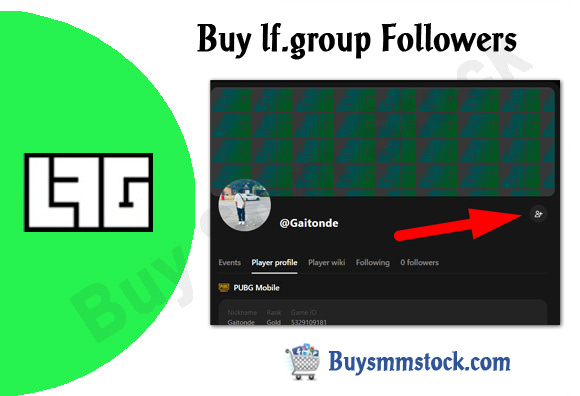 Buy lf group Followers