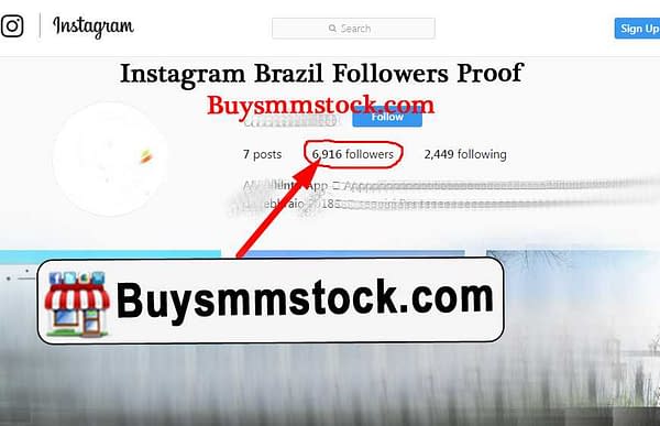 6000 Brazil Instagram Followers Proof