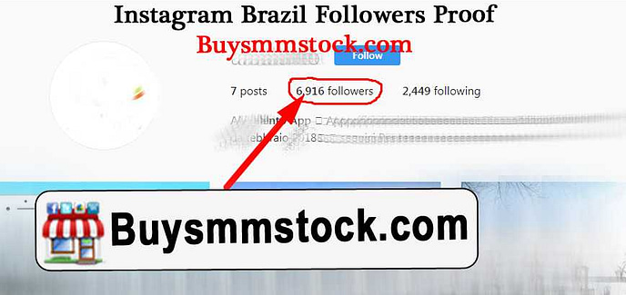 6000 Brazil Instagram Followers Proof