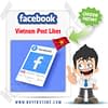 Buy Facebook Vietnam Post Likes