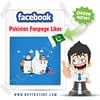 Buy Pakistan Facebook Page Likes