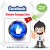 Buy Vietnam Facebook Likes And Followers