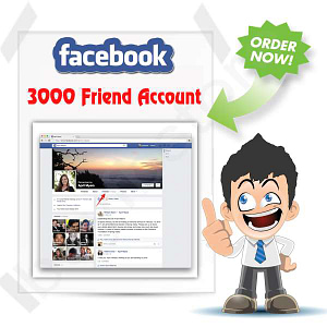 Buy 3000 Friend Facebook Account